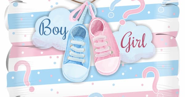 Twin Gender Reveal Ideas: Double the Surprise, Double the Joy