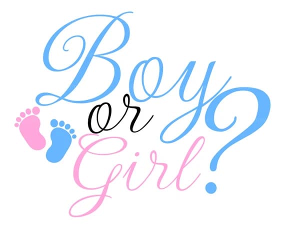 100+ Gender Reveal & Baby Shower Captions for Instagram & Social Media