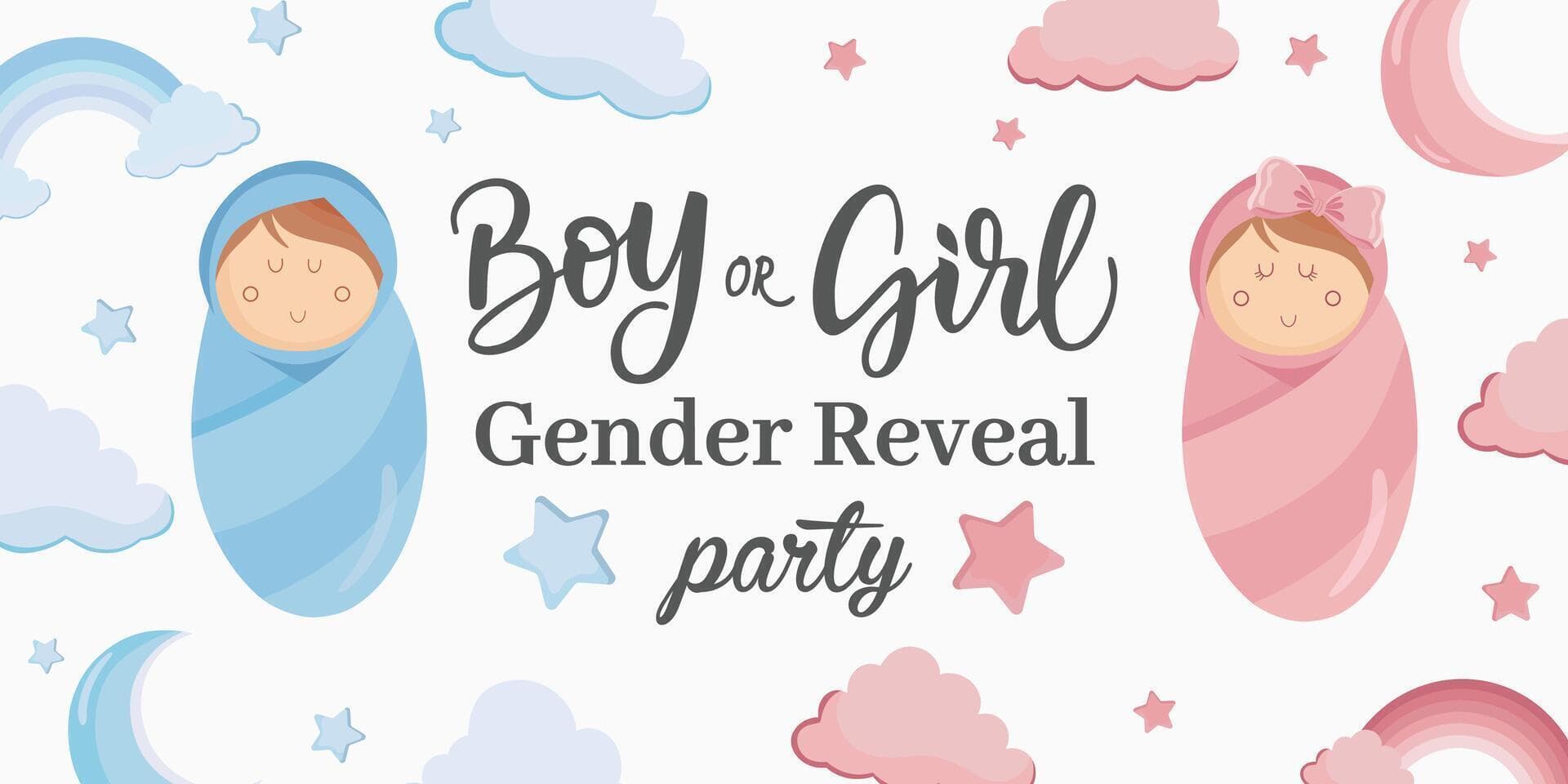 Gender Reveal & Baby Shower Invitation Wording: 50+ Examples
